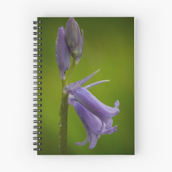 Item preview, The First Bluebell designed and sold by geoff curtis.