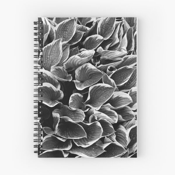 Item preview, hosta la vista  designed and sold by Phil Lane.