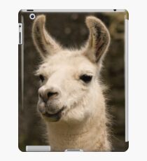 Lama iPad-Hülle & Klebefolie