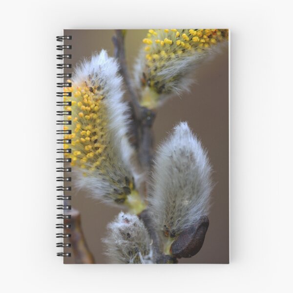 Item preview, Sure Sign of Spring designed and sold by Gary Boudreau.