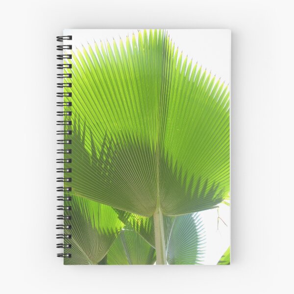 Artikelvorschau, Giant Green Hawaiian Fan Palm entworfen und verkauft von ronholiday.