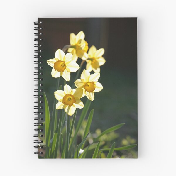 Item preview, Sunny Daffodils designed and sold by John Keates.