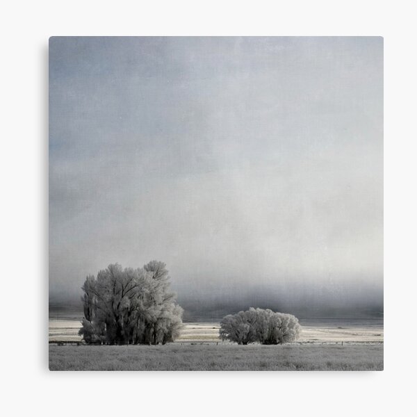 Item preview, Two Trees in Frost designed and sold by Jill Ferry.