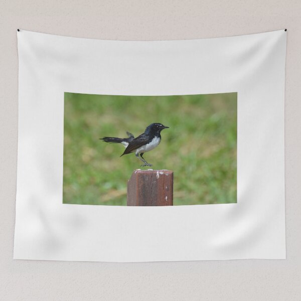 Item preview, Willy Wagtail designed and sold by CodyLaskeyPhoto.