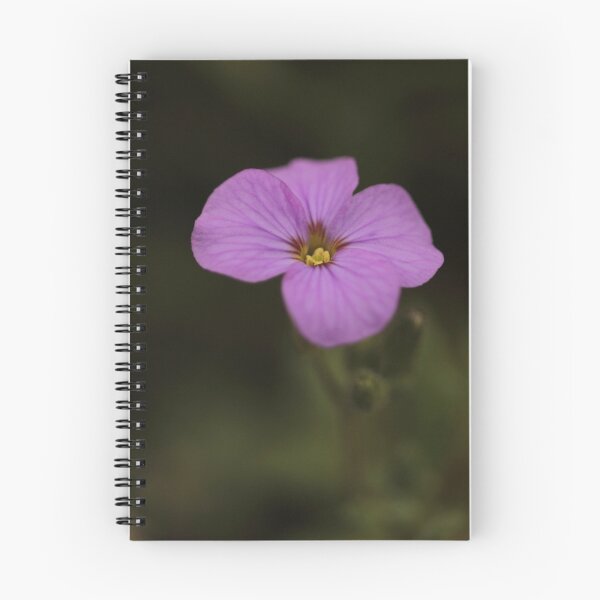 Aperçu de l'œuvre Aubretia  créée et vendue par Ian Sanders.