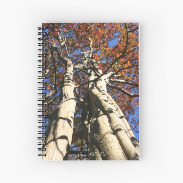 Reaching Spiral Notebook