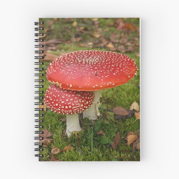 Item preview, Mushrooms designed and sold by Lauren Haasnoot.