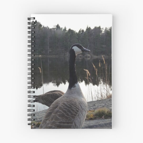 Item preview, Canada Goose Couple designed and sold by HELUA.