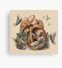 INHABITANTS OF SOUL⠀ Canvas Print