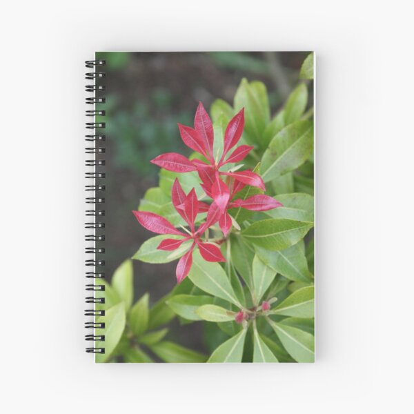 Item preview, Red and Green designed and sold by Mandy Kerr.