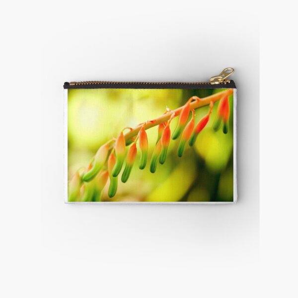 Item preview, red-green lanterns designed and sold by lensbaby.