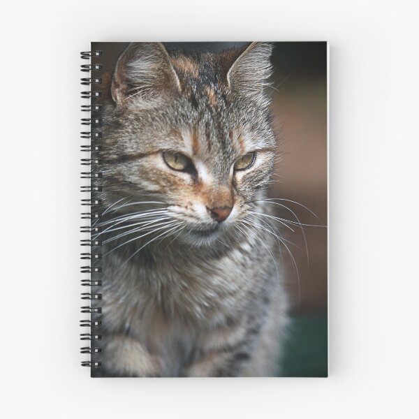 Item preview, Cat designed and sold by Christian  Zammit.