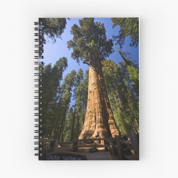 Item preview, The Largest Tree in the World designed and sold by Adam Bykowski.