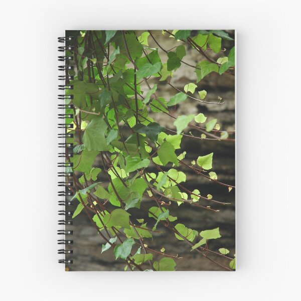 Item preview, Hidden designed and sold by Kylie Roberts.