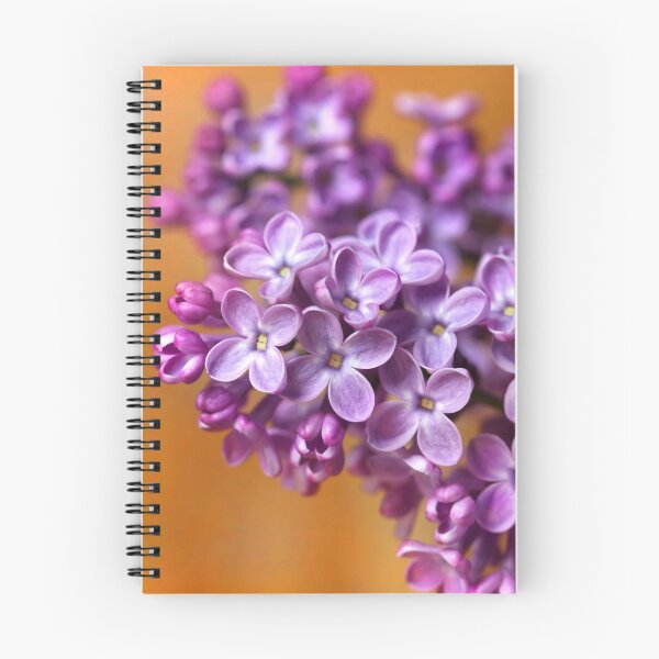 Artikelvorschau, Appassionata Per Lillà entworfen und verkauft von SmoothBreeze7 | Liz Collet Photography.