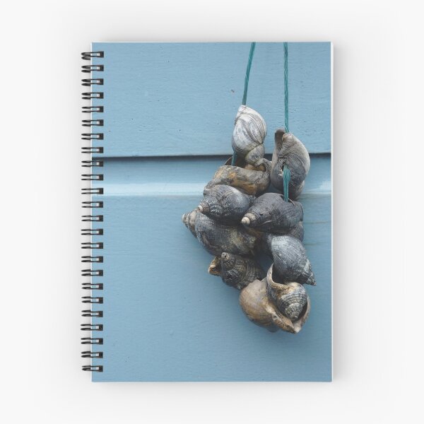 Item preview, Shells, Leiden designed and sold by Lenka.