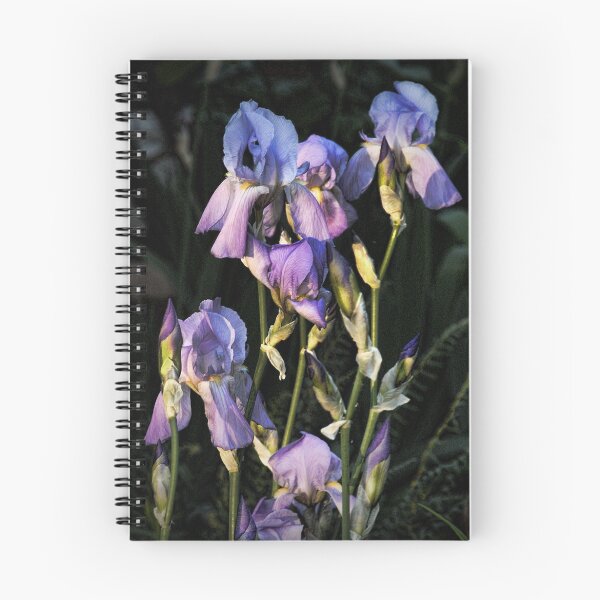 Item preview, "Late Afternoon Iris" designed and sold by Melinda Stewart Page.