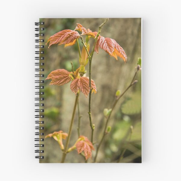 Item preview, Spring Shoots designed and sold by BizziLizzy.