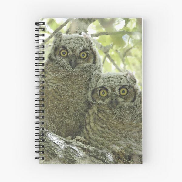 Item preview, Great Horned Owl Fledglings designed and sold by tomryan.