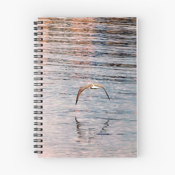 Item preview, Bird skimming. designed and sold by Kerensa Davies.