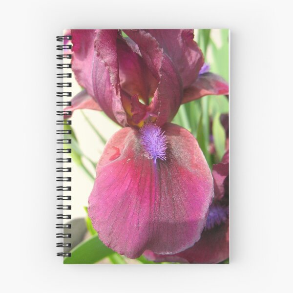 Item preview, Sauterne Iris designed and sold by MarianBendeth.