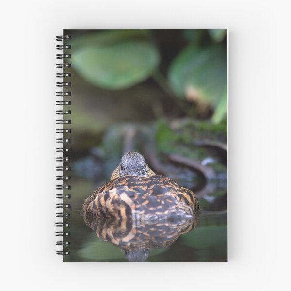 Item preview, Duck Reflections designed and sold by Sue Earnshaw.