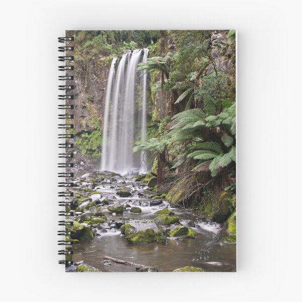 Aperçu de l'œuvre Hopetoun Falls 2 créée et vendue par dav15.