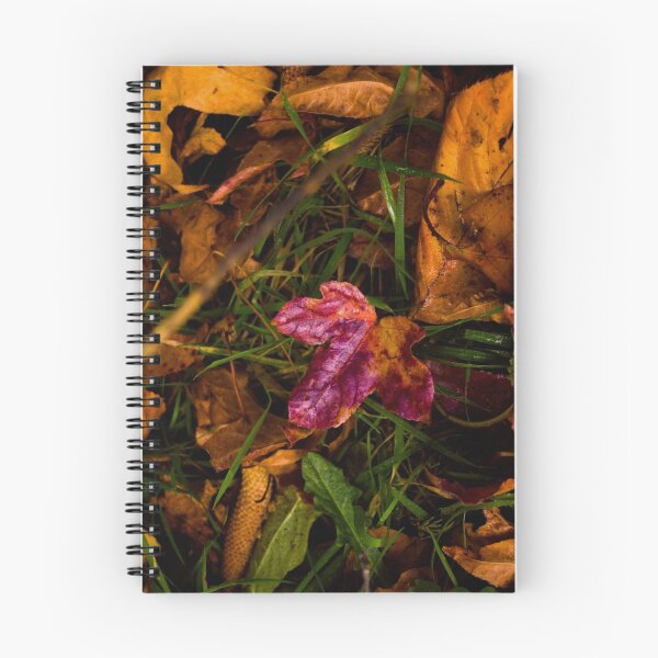 Artikelvorschau, What does Autumn mean to you? entworfen und verkauft von Kiwikels.