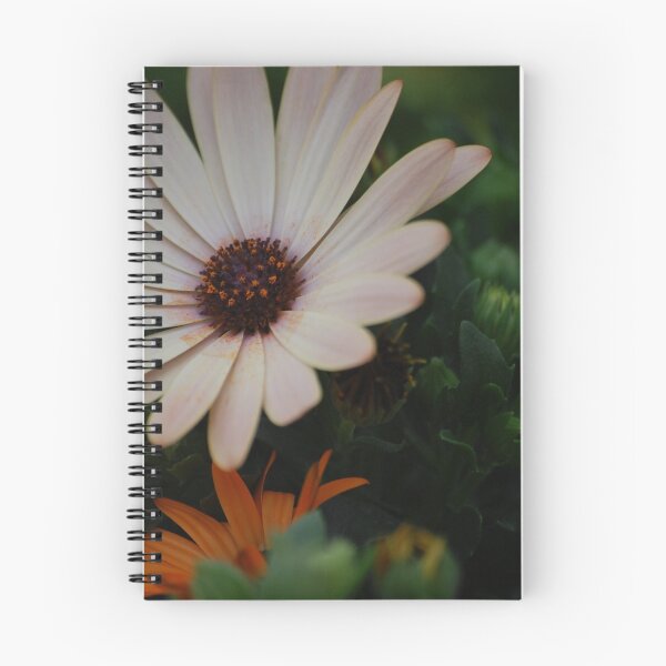Item preview, African Daisy designed and sold by Declan Carr.