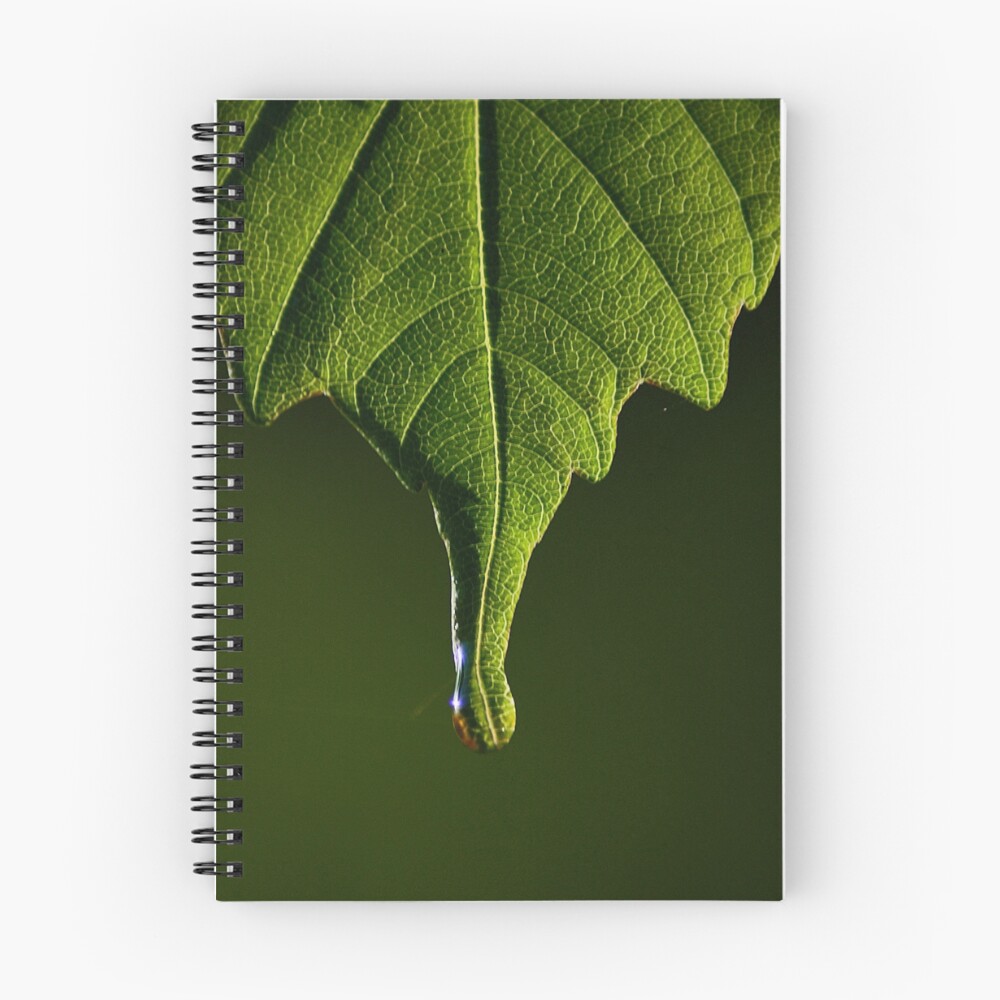 Item preview, Spiral Notebook designed and sold by FraserJ.