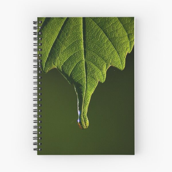 Item preview, Spring Leaf designed and sold by FraserJ.