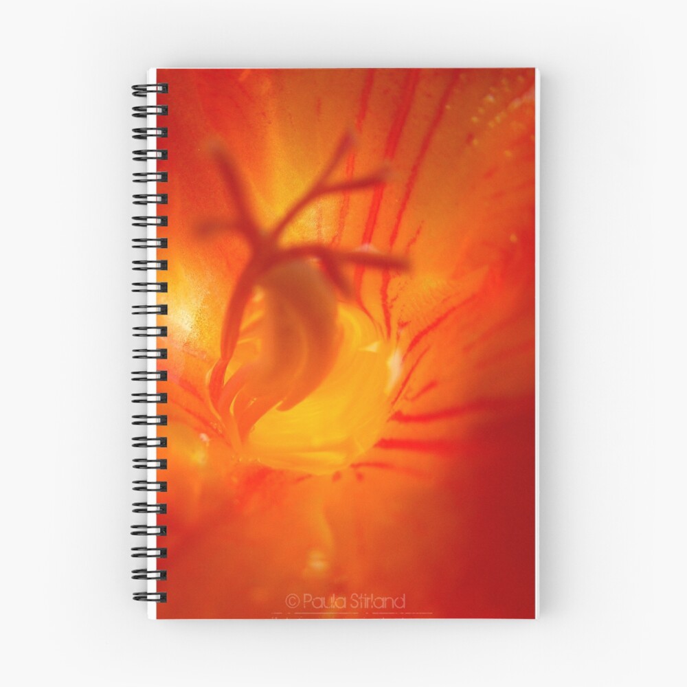 Item preview, Spiral Notebook designed and sold by Gozza.