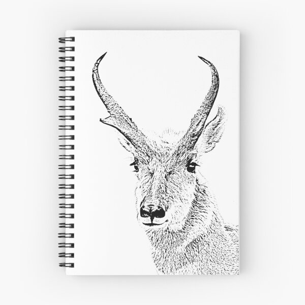 Item preview, ANTELOPE BUCK SKETCH designed and sold by Rodney55.