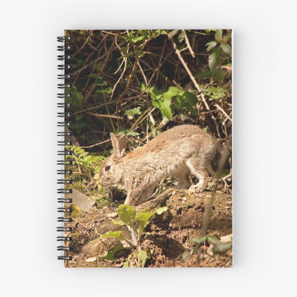 Item preview, European Wild Rabbit designed and sold by Jon Lees.