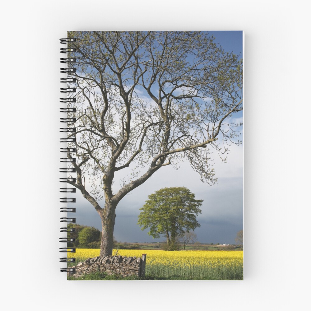 Item preview, Spiral Notebook designed and sold by jeffwilson.