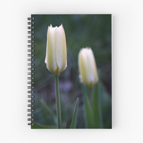 Artikelvorschau, My Twin is behind me..Happy spring entworfen und verkauft von Gary Boudreau.
