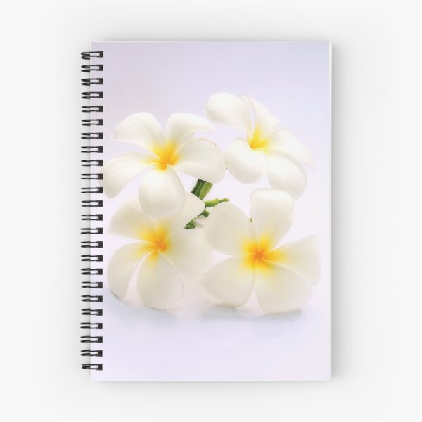 Item preview, Frangipani designed and sold by Rochelle Boardman.