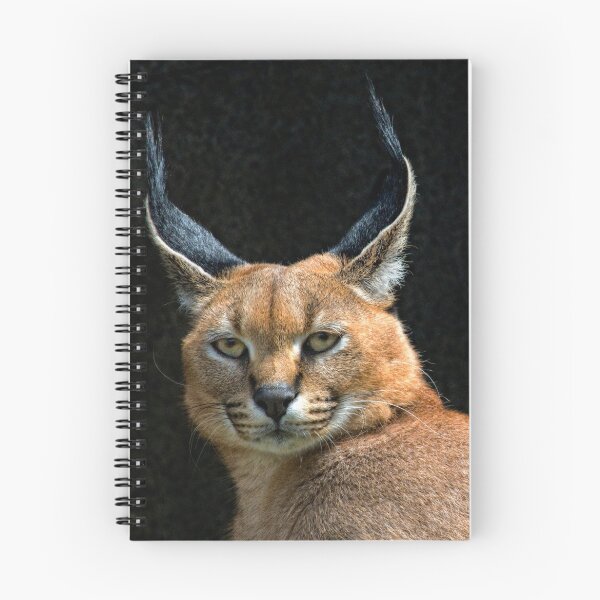 Item preview, Caracal designed and sold by TeresaB.