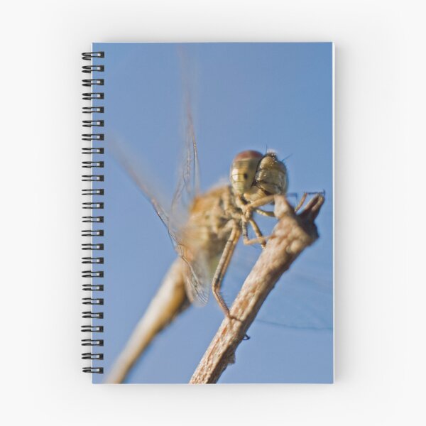 Item preview, The Dragonfly with a Smile. designed and sold by Melina Roberts.