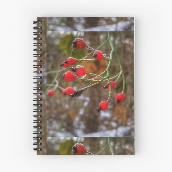 Item preview, Frost on red berries designed and sold by J Rier Photography.