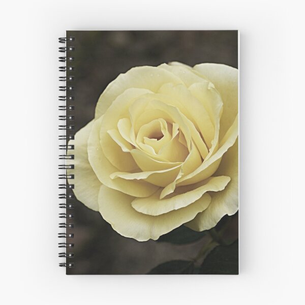 Item preview, Fascination.... designed and sold by Sharon House.