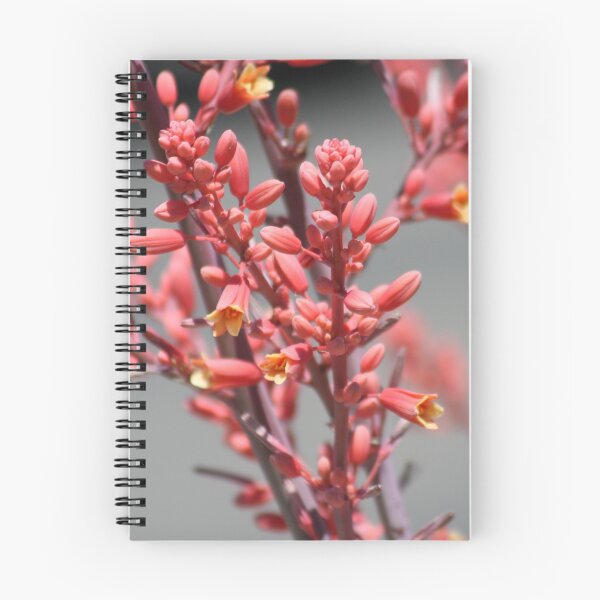 Item preview, Spring has Sprung...with Color... designed and sold by EvaMarie Cannon.