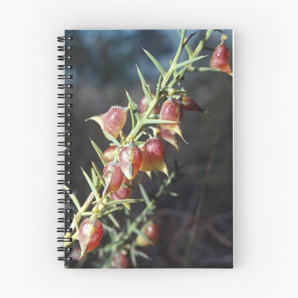 Item preview, Pink sacs Chittering Valley 19820820 0014 designed and sold by Fred Mitchell.