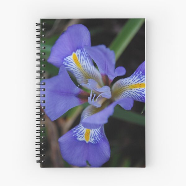 Item preview, We Ever ignore the inevitable, The comfort trying to show its face.  It becomes richer with subtle embrace. designed and sold by Lozzar Flowers & Art.