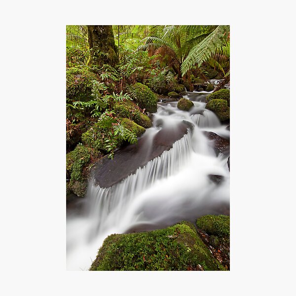 Cement Creek Photographic Print