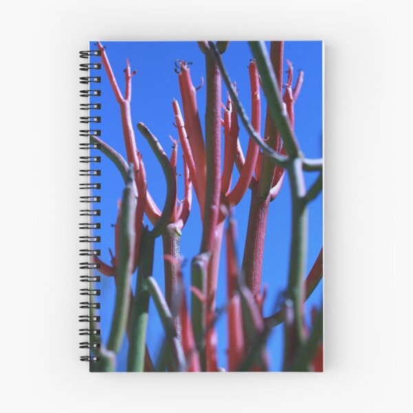 Item preview, Red and Blue designed and sold by William van Rijswijk.