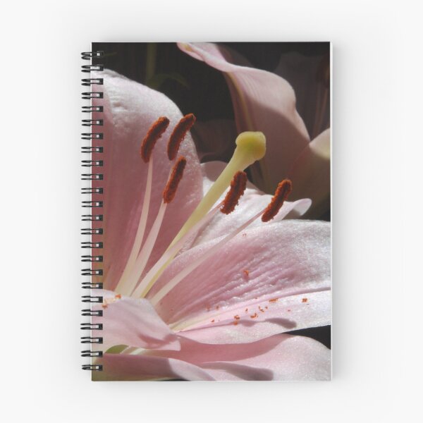 Item preview, My Song Will Be Sung designed and sold by Lozzar Flowers & Art.