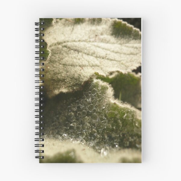 Item preview, Bright - Beechworth 12 designed and sold by beeden.