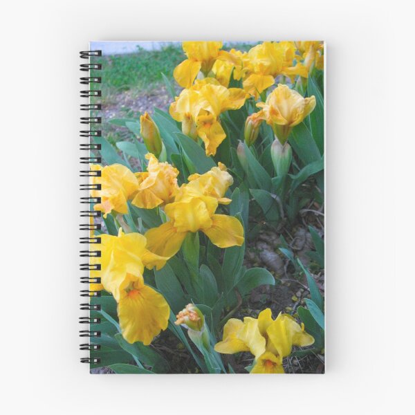 Item preview, Yellow Iris in Concert designed and sold by MarianBendeth.