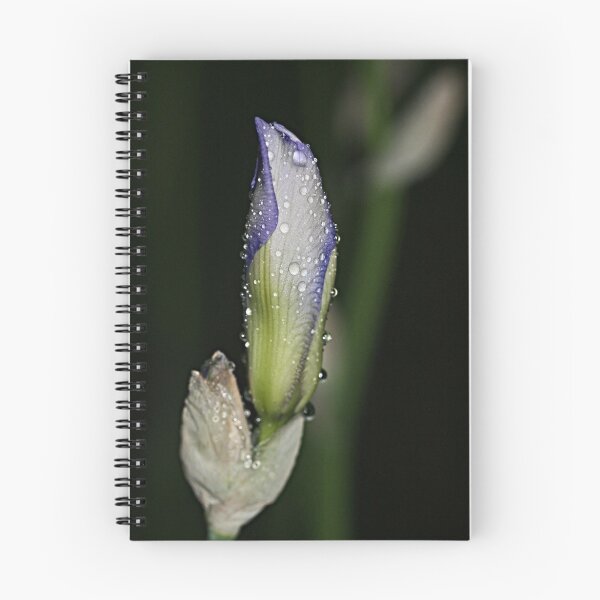 Item preview, Budding Beauty designed and sold by Monnie Ryan.